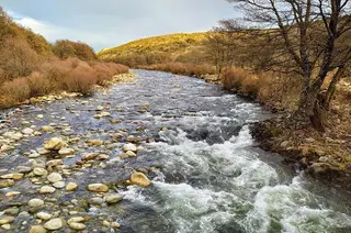 Agua