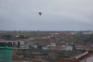 Viviendas en Zamora | V.M.