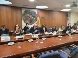 Sin título 12