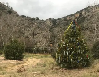 Árbol de Navidad en Fermoselle. Cesar Nieto Carrasco