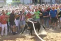JL Leal  ICAL . Salida del Toro Enmaromado de Benavente