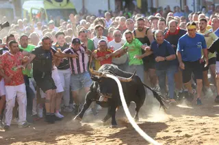 JL Leal  ICAL . Salida del Toro Enmaromado de Benavente