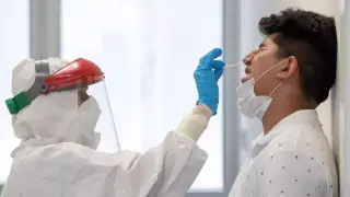 3377582 (1)