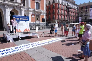 Manifestación en Valladolid por los incendios de Zamora (1)