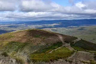 Archivo. Zona de labores de reforestación