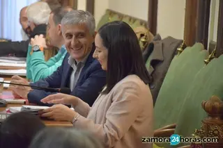 El Pleno aprueba la implantación del voto telemático a pesar de las dudas legales del PP