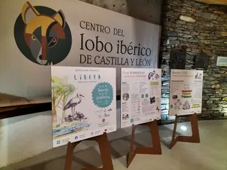 La exposición 'Basuraleza: no es tu basura, sí es tu problema' continúa su itinerancia por las Casas del Parque