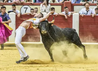 Zamora se prepara para vivir este domingo el mejor concurso de cortes de los últimos años