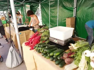 Mercadoecologico17