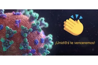 Sin título 5