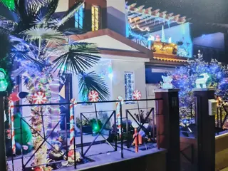 Ganador del concurso de decoración navideña