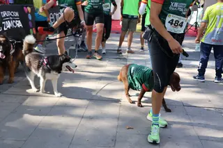 XIII Carrera Popular Guardia Civil Zamora 2024