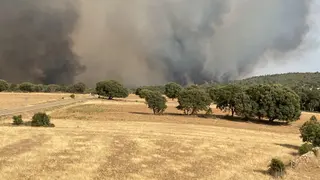 Incendio en Losacio (1)