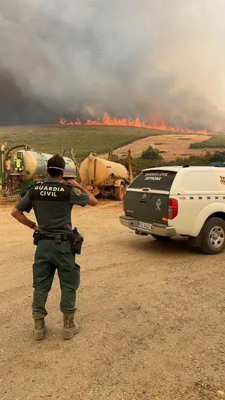 Desoladora imagen del incendio que afectó en agosto a Molezuelas de la Carballeda