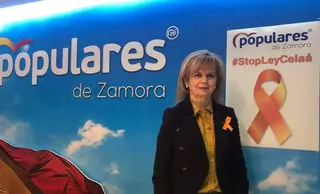 Pp elvira velasco