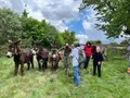 Jornada de la Plataforma en Defensa del Medio Ambiente y Medio Rural de Villalcampo