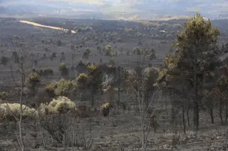 La Sierra de la Culebra tras el incendio en verano de 2022