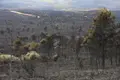 La Sierra de la Culebra tras los incendios sucedidos en el verano de 2022