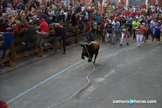 Toro Enmaromado 2019 Fotos: María Lorenzo
