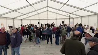 Feria del Libro de Toro