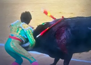 Momento de la cogida a Alberto Durán