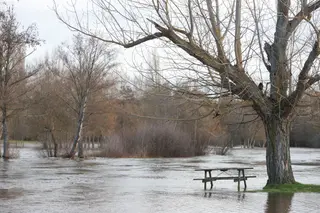 Río Tera desbordado a su paso por Mozar de Valverde hace unos días | JL Leal / ICAL