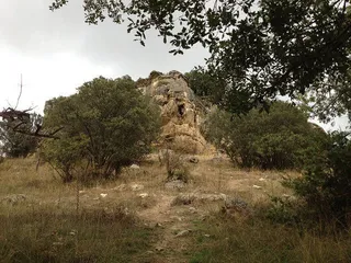 2017102106483390883