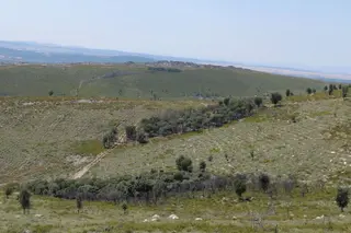 bosquejos de encinas cara sur culebra