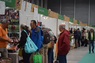 Feria de Ecocultura 2024 (96)