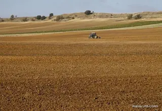 UPA-COAG denuncia que la Comisión Europea le abre las puertas de la PAC a “especuladores y absentistas”