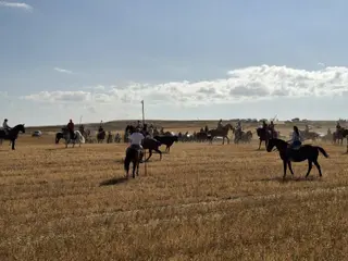 Tradicional encierro campero en Toro este sábado