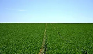 Aprobado el plan de mejora territorial y obras de la concentración parcelaria de Sarracín de Aliste