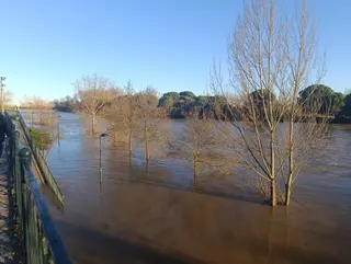 Crecida del río Duero en Zamora | Verónica Muriel