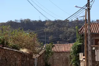 Imagen del monte arrasado por el fuego desde Palazuelo Foto: Alejandro Sardón 