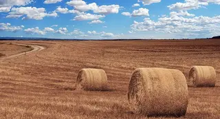 Terreno agrícola