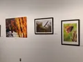   Exposición Naturaleza del río Duero en La Alhóndiga