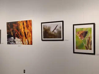   Exposición Naturaleza del río Duero en La Alhóndiga