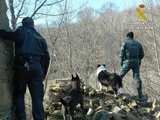El robo en viviendas y bares, algunos de los casi veinte delitos que se le imputan a los tres detenidos