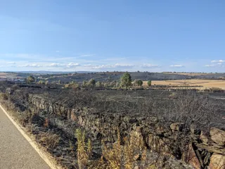 Las heridas del fuego en Losacio (35)