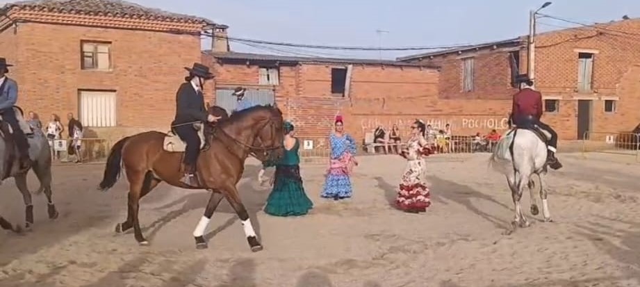 Exhibici&oacute;n caballos de CDH Villabalter.