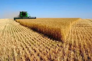 Agricultura