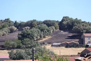El desolador paisaje tras el incendio de Fermoselle Foto: Alejandro Sardón