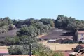 El desolador paisaje tras el incendio de Fermoselle Foto: Alejandro Sardón
