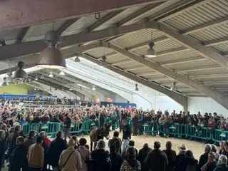 La XXIV Feria del Burro de San Vitero recibe a más de 20.000 visitantes