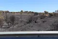 El Desolador Paisaje De Mámoles Tras La Peor Parte Del Incendio De Fermoselle (38)