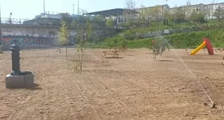 El sistema de riego ya se encuentra en funcionamiento en la finca de La Josa