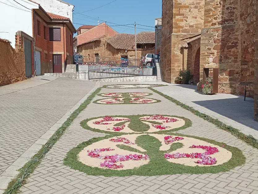 Alfombra floral puerta de la iglesia, Corpus Christi Manganeses de la Polvorosa