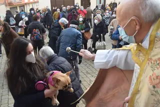 Procesión de San Antón y bendición de animales
