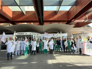 Imagen de la huelga de médicos en Zamora