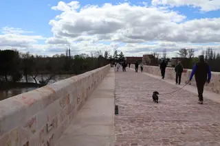 Reapertura Puente de Piedra Zamora